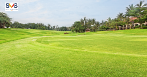 First-Time Plot Investors
